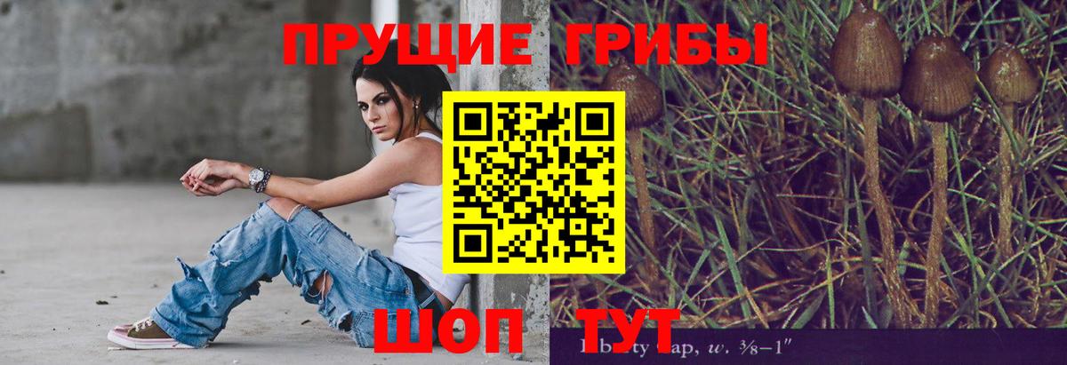 Чехов  Галлюциногенные грибы GOLDEN TEACHER  купить  цена  Вход с VPN 